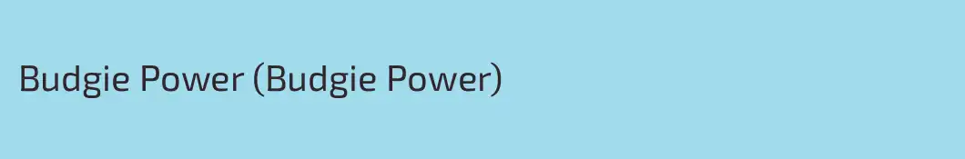 Budgie Power (Budgie Power)